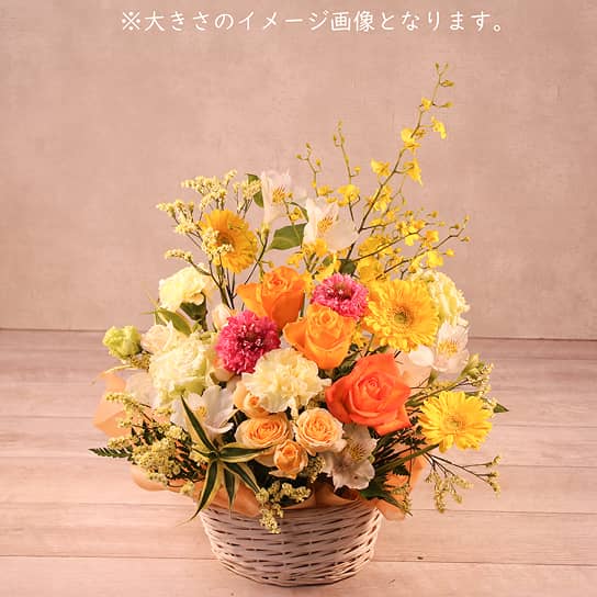 アレンジメント ¥7,700（税込） H50cm W35cm