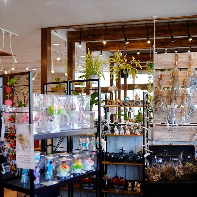 店内には様々な観葉植物やテラリウムが展示されている。木製の棚には、ガラス容器に入った小さな植物や、壁にはドライフラワーのようなものが飾られている。