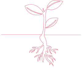 芽のアイコン