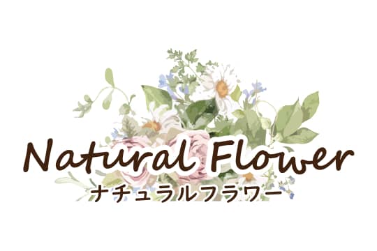 自然体で楽しむ花活けレッスン ナチュラルフラワー