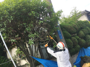 oniwa3-300x225
