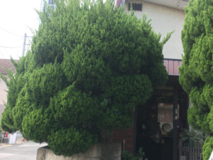 oniwa4-300x225